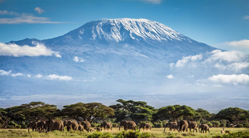 Mount Kilimanjaro climbing adventure in Tanzania